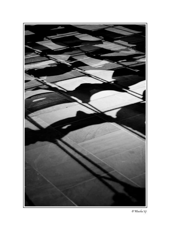 Shadows.jpg